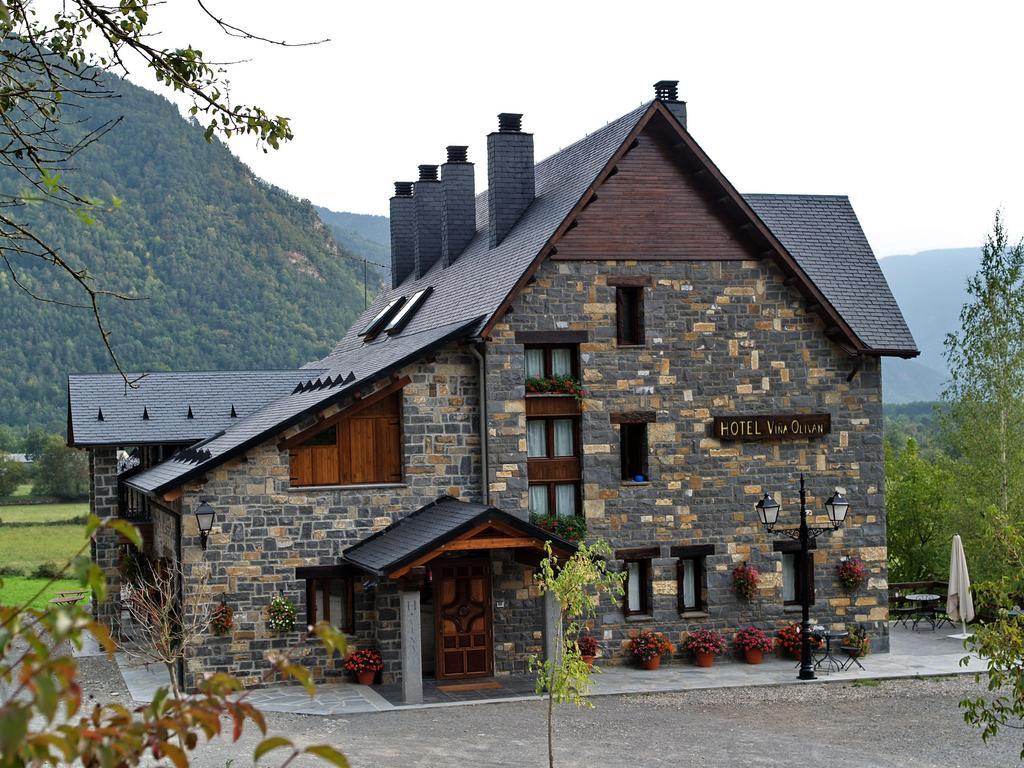 Hotel Vina Olivan Sarvisé Rum bild